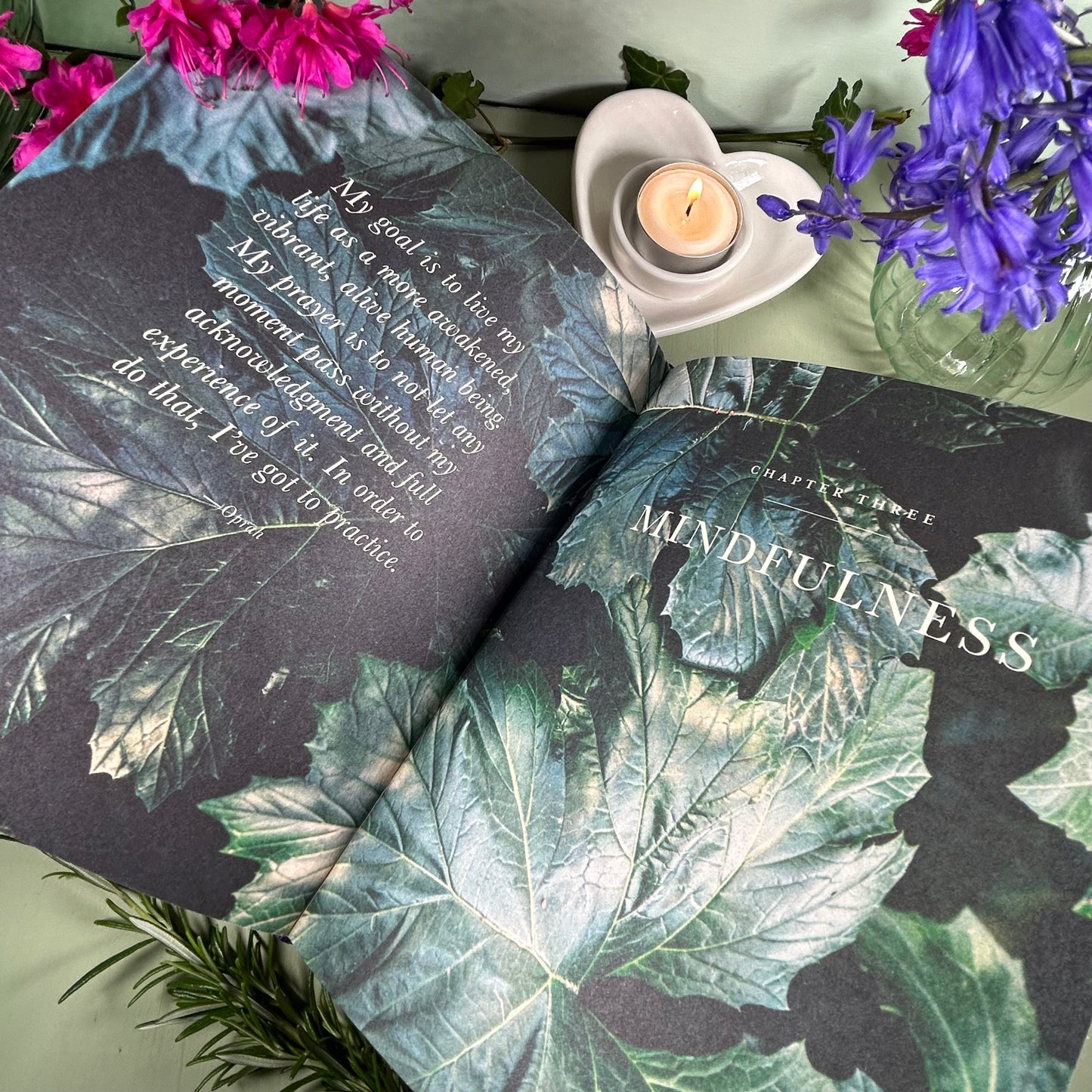 The Wisdom of Sundays: Life Changing insights and Inspirational Conversations - Oprah Winfrey