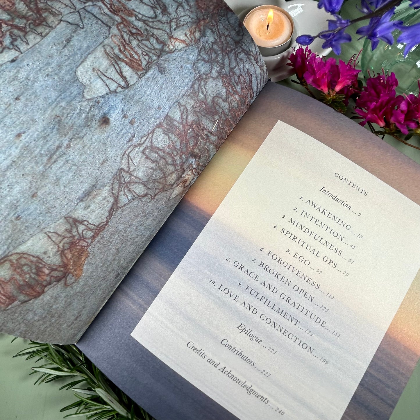 The Wisdom of Sundays: Life Changing insights and Inspirational Conversations - Oprah Winfrey