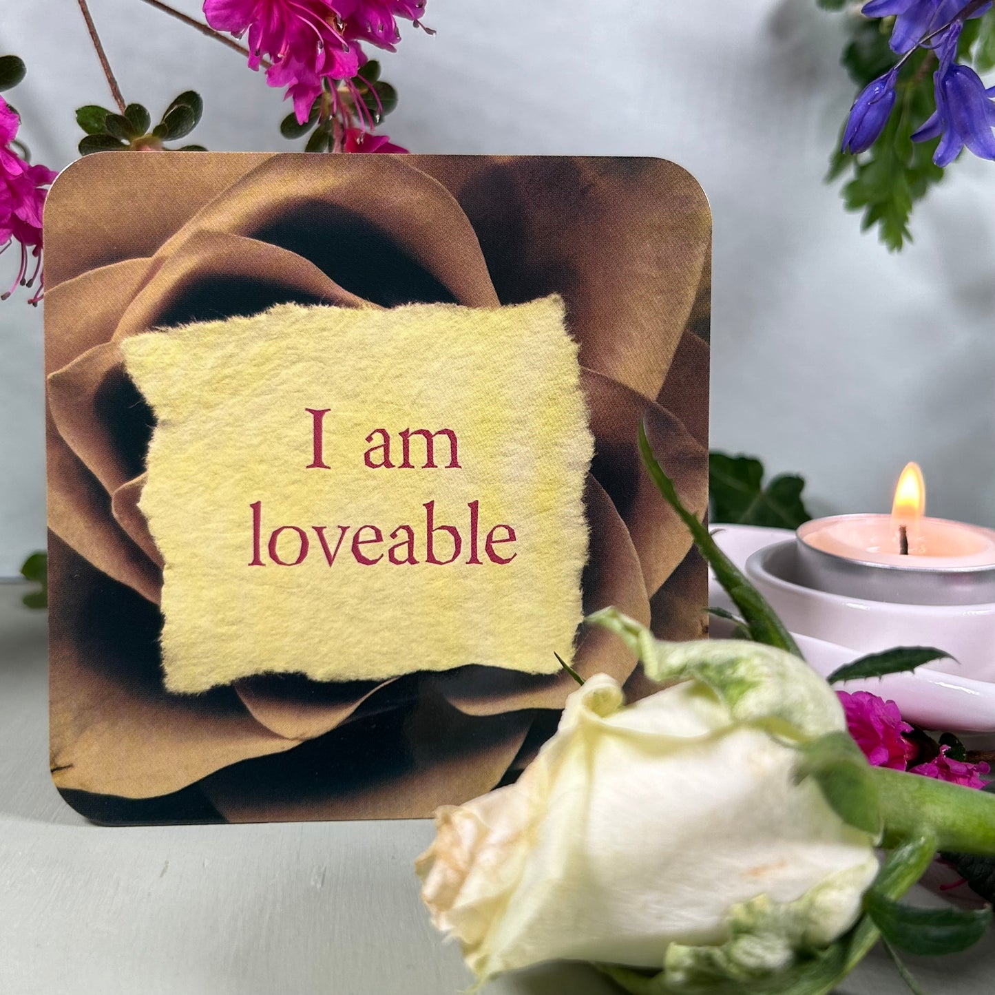 Life Loves You Cards - Louise Hay & Robert Holden