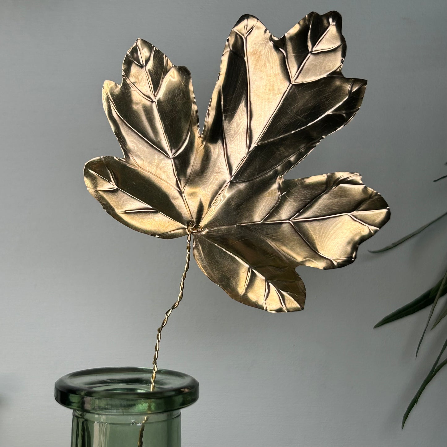 Field Maple Leaf Metal Botanic