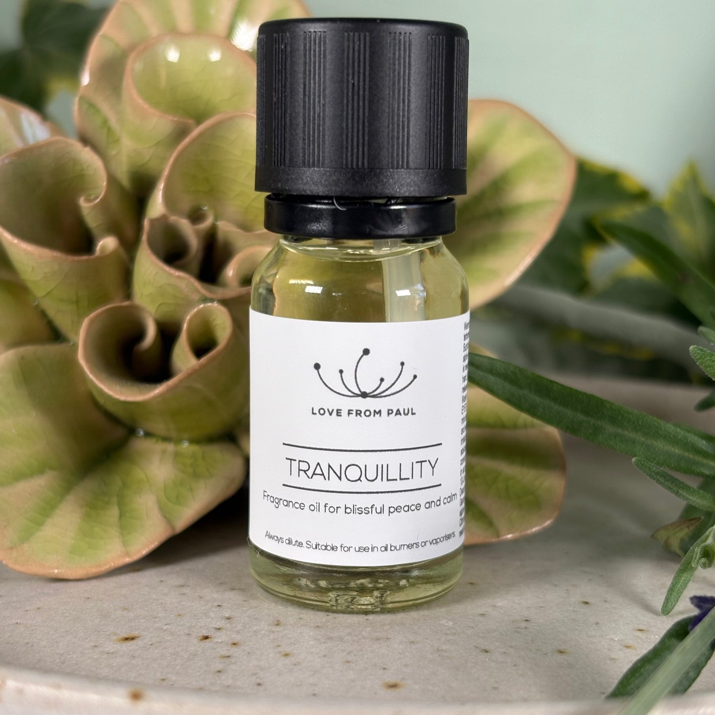 Tranquillity Fragrance Oil 10ml