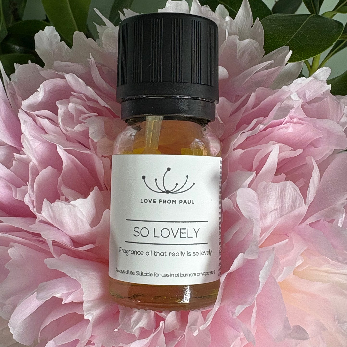 So Lovely Fragrance Oil 10ml