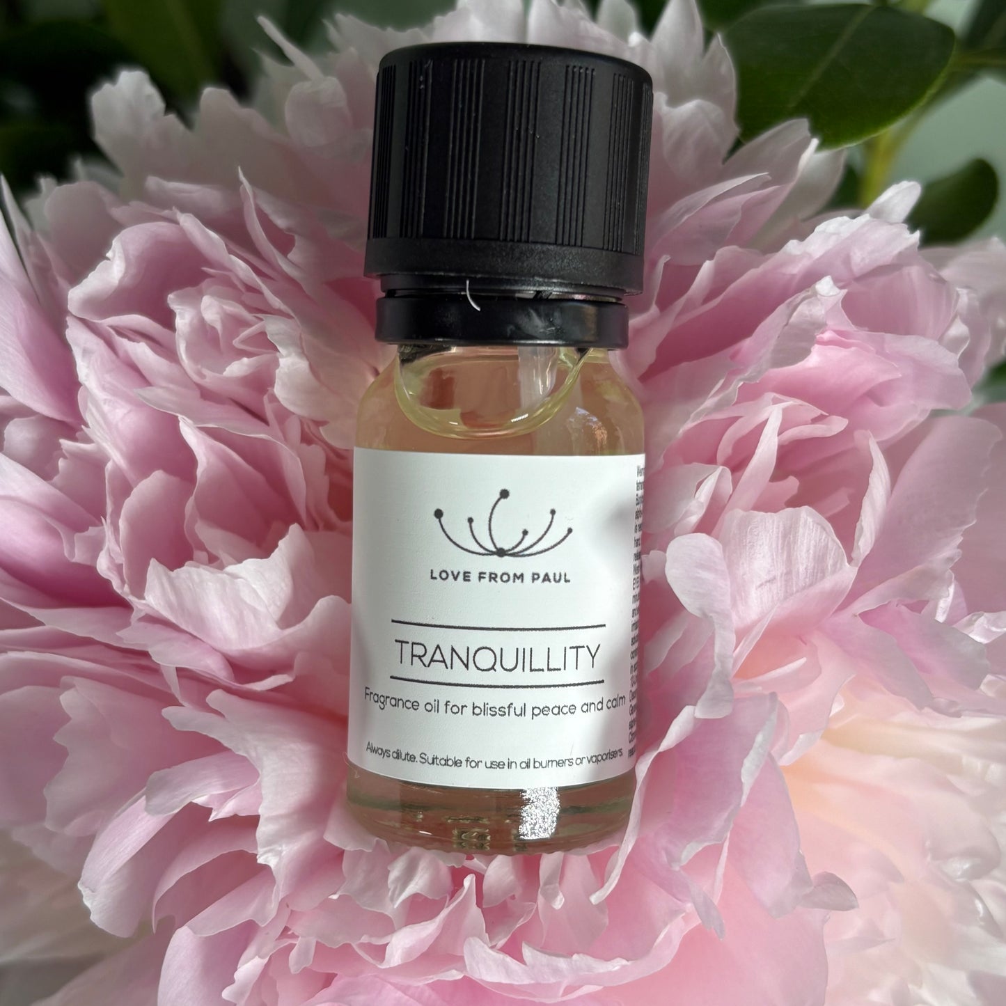 Tranquillity Fragrance Oil 10ml