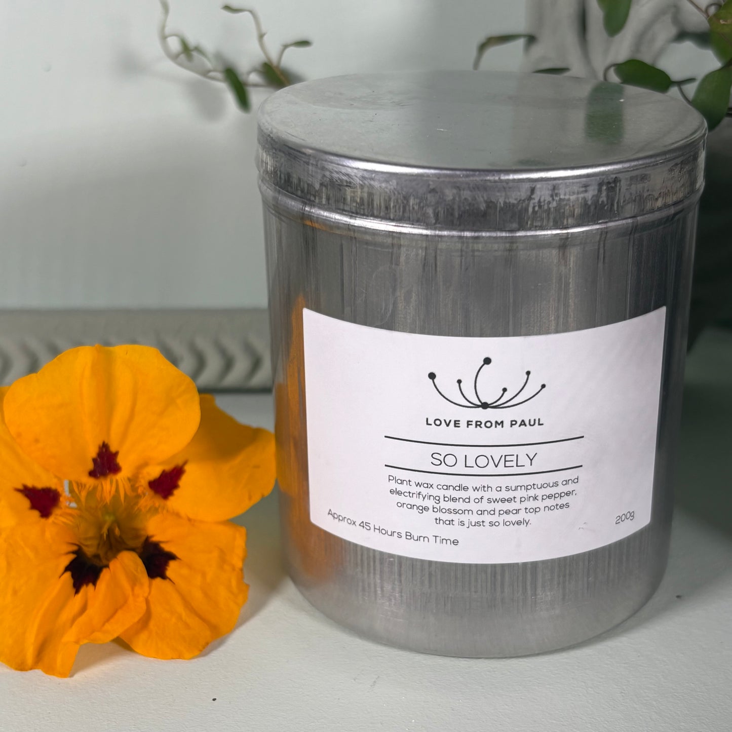 So Lovely 200ml Tin Candle