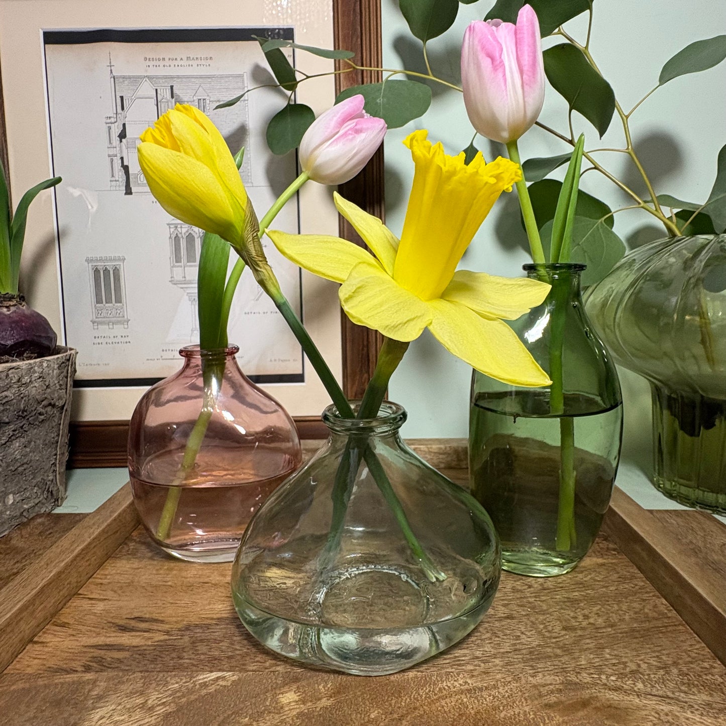 Organic Vases Set of 3