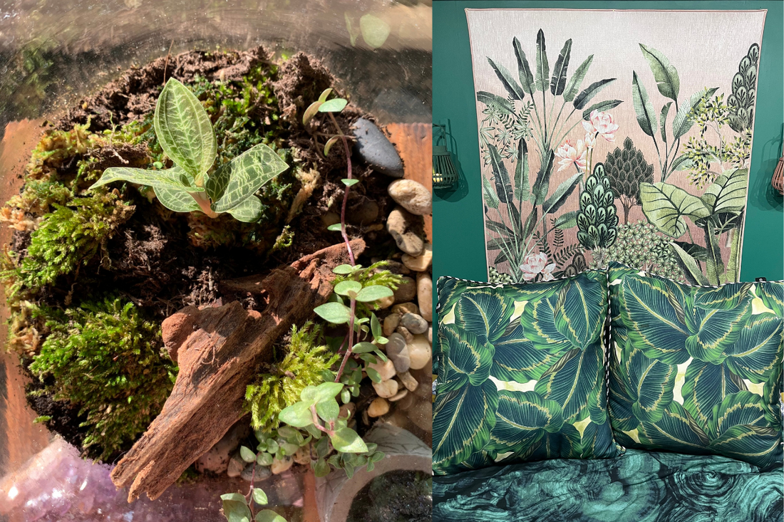 Ways to Include More Green and Natural Elements in Your Home