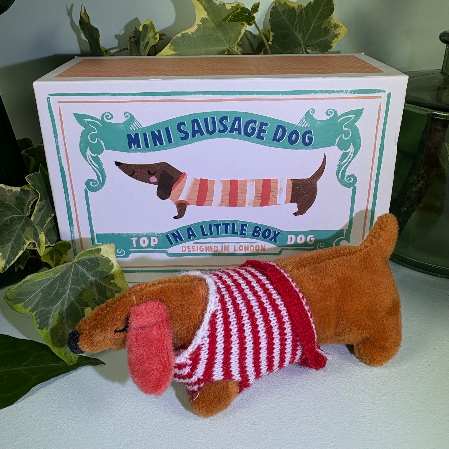 Mini Sausage Dog in Box Soft Toy
