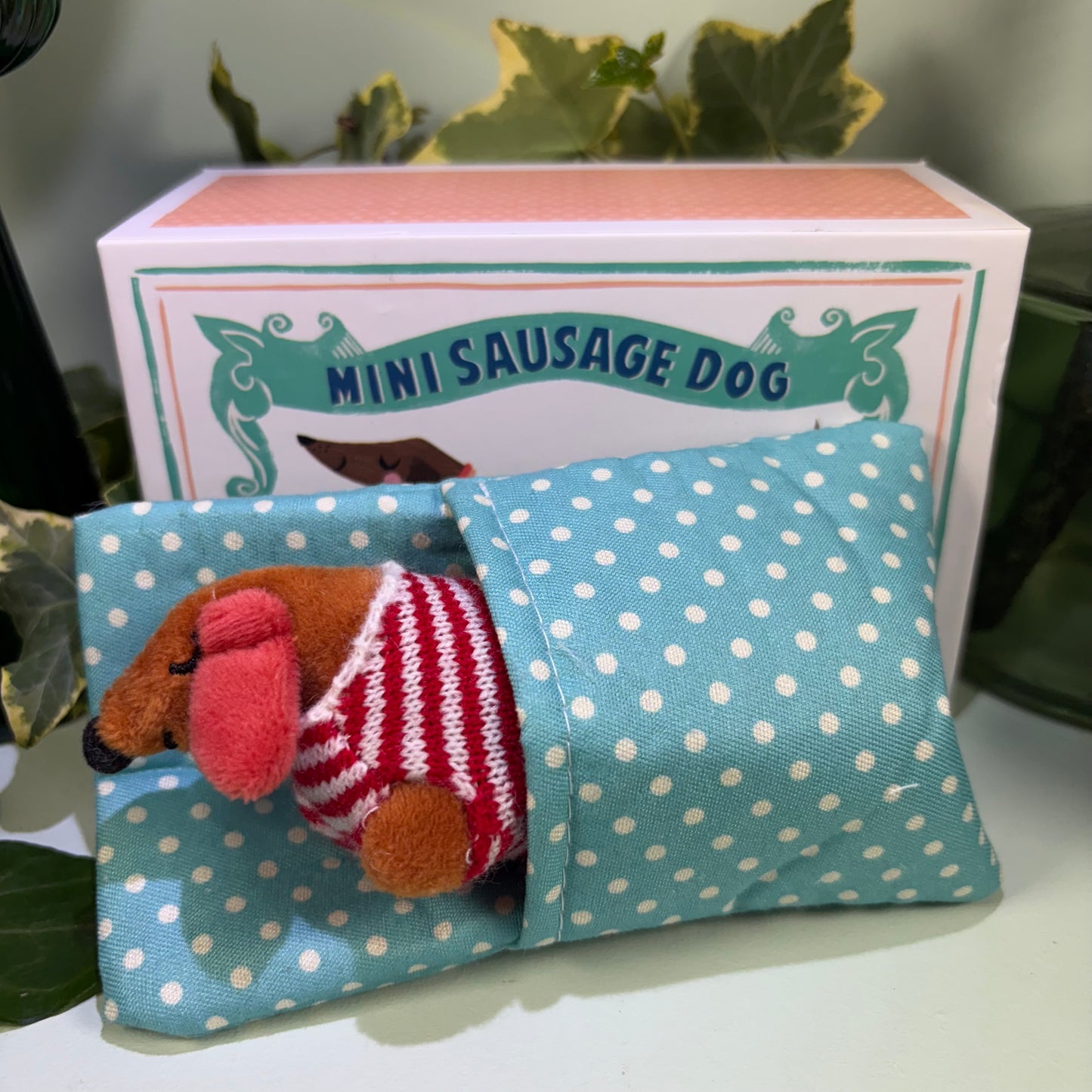 Mini Sausage Dog in Box Soft Toy