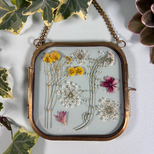 Pressed Flowers in Brass Edged Hanging Frame (10cm x 10cm) (Code FF102)