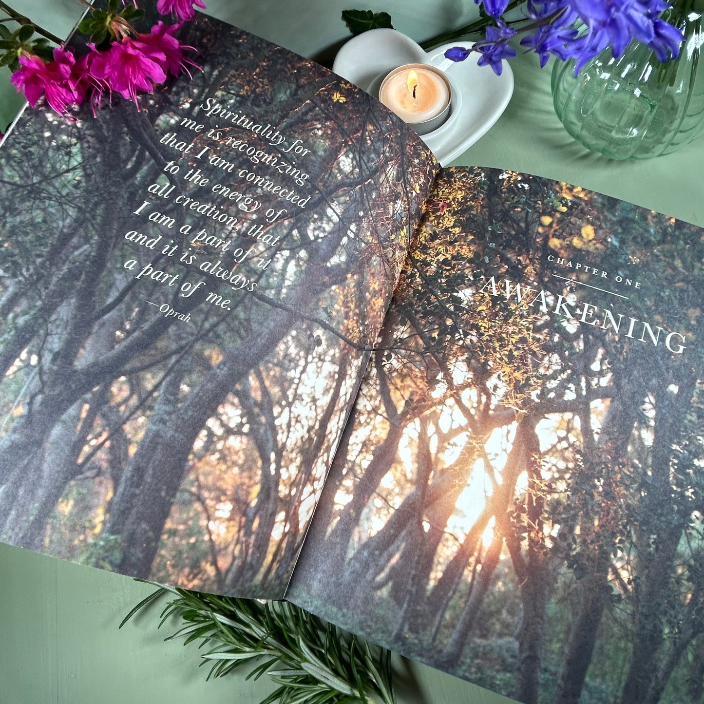 The Wisdom of Sundays: Life Changing insights and Inspirational Conversations - Oprah Winfrey