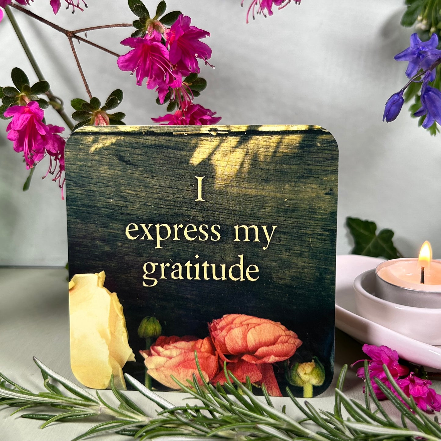 Life Loves You Cards - Louise Hay & Robert Holden