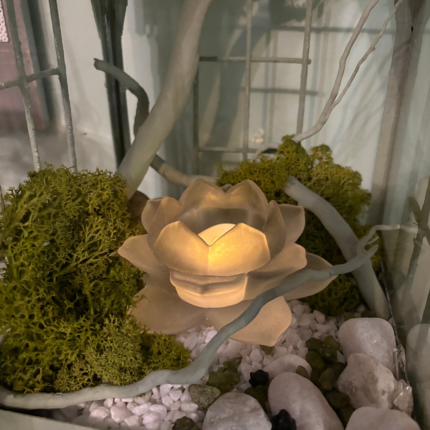 Decorative Moss 100g