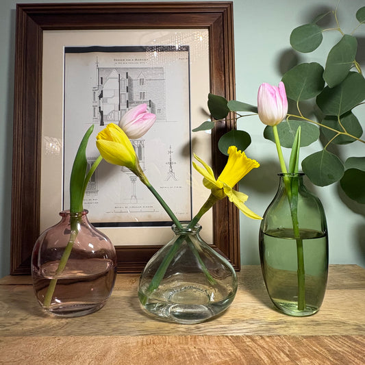 Organic Vases Set of 3